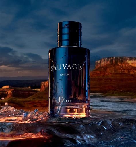 dior sauvage eau de parfum price|how much does sauvage cost.